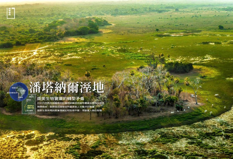 Rhythms Monthly - Taiwan - Pantanal: the vulnerable floodplain of South America
